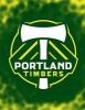 Portland Timbers 2017 Diary (Paperback) - Darrell Butters Photo