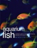 Aquarium Fish - A Definitive Guide to Identifying and Keeping Freshwater and Marine Species (Paperback) - Mary Bailey Photo