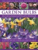 The Complete Practical Handbook of Garden Bulbs - How to Create a Spectacular Flowering Garden Throughout the Year in Lawns, Beds, Borders, Boxes, Containers and Hanging Baskets (Hardcover) - Kathy Brown Photo