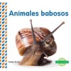 Animales Babosos (Slimy Animals ) (Spanish, Hardcover) - Teddy Borth Photo