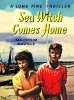 Witchend: Sea Witch Comes Home (Paperback) - Malcolm Saville Photo