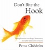 Don't Bite The Hook - Finding Freedom From Anger, Resentment, And Other Destructive Emotions (CD) - Pema Chodron Photo