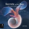 Secrets of the Sea (Hardcover) - Kate Baker Photo