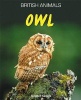 Owl (Paperback) - Stephen Savage Photo