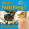 What is Hatching? (Paperback) - Bobbie Kalman Photo