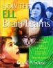 How the ELL Brain Learns (Paperback, New) - David A Sousa Photo