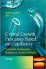 Crystal Growth Processes Based on Capillarity - Czochralski, Floating Zone, Shaping and Crucible Techniques (Hardcover) - Thierry Duffar Photo