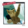 Cat Selfies 2016 (Calendar) - Paul Cocken Photo