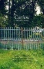 Curfew and Other Stories (Paperback, New Ed) - Sean OReilly Photo