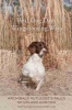 Bird Dog Days, Wingshooting Ways - Archibald Rutledge's Tales of Upland Hunting (Hardcover) - Jim Casada Photo