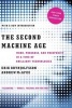 The Second Machine Age - Work, Progress, and Prosperity in a Time of Brilliant Technologies (Paperback) - Erik Brynjolfsson Photo