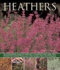 Heathers - An Illustrated Guide to Varities, Cultivation and Care, with Step-by-step Instructions and Over 160 Beautiful Photographs (Paperback) - Andrew Mikolajski Photo