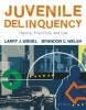 Juvenile Delinquency - Theory, Practice, and Law (Hardcover, 10th) - Larry Siegel Photo