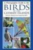 A Photographic Guide to the Birds of the Cayman Islands (Paperback, New) - Patricia E Bradley Photo