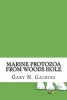 Marine Protozoa from Woods Hole (Paperback) - Gary N Galkins Photo