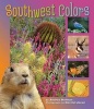 Southwest Colors (Hardcover) - Andrea Helman Photo