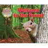 Welcome to the Forest (Hardcover) - Ruth Owen Photo