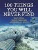 100 Things You Will Never Find - Lost Cities, Hidden Treasures and Legendary Quests (Paperback) - Daniel Smith Photo