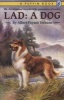 Lad a Dog (Paperback) - Albert Payson Terhune Photo