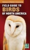 National Wildlife Federation Field Guide to Birds of North America (Paperback) - Edward S Brinkley Photo