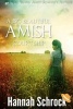 A Big Beautiful Amish Courtship (Paperback) - Hannah Schrock Photo