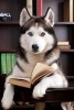 Siberian Husky Reading a Book Journal - 150 Page Lined Notebook/Diary (Paperback) - Cs Creations Photo