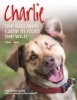 Charlie - The Dog Who Came in from the Wild (Paperback) - Lisa Tenzin Dolma Photo