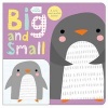 Big and Small (Board book) - Roger Priddy Photo