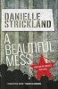 A Beautiful Mess - How God Re-Creates Our Lives (Paperback, 1st New edition) - Danielle Strickland Photo