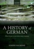 A History of German (English, German, Paperback) - Joseph Salmons Photo