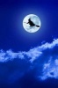 Witch on a Broomstick Flying Past the Moon Journal - 150 Page Lined Notebook/Diary (Paperback) - Cool Image Photo