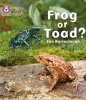 Frog or Toad? - Band 03/Yellow (Paperback) - Sue Barraclough Photo