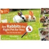 Are Rabbits the Right Pet for You? - Can You Find the Facts? (Paperback) - Emma Milne Photo