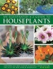 An Illustrated A-Z Guide to Houseplants - Everything You Need to Know to Identify, Choose and Care for 350 of the Most Popular Houseplants (Hardcover) - Peter McHoy Photo