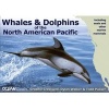 Whales and Dolphins of the North American Pacific - Including Seals and Other Marine Mammals (Paperback) - Graeme Cresswell Photo