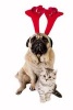 Christmas Pug in Antlers with a British Shorthair Kitten - Blank 150 Page Lined Journal for Your Thoughts, Ideas, and Inspiration (Paperback) - Unique Journal Photo