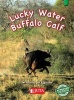 Lucky Water Buffalo Calf, Green - Gr 3 (Paperback) -  Photo