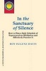 In the Sanctuary of Silence - How to Plan a Daily Schedule of Superconscious Meditations & Effectively Practice it (Paperback) - Roy Eugene Davis Photo