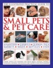 The Illustrated Practical Guide to Small Pets & Pet Care - Hamsters, Gerbils, Guinea Pigs, Rabbits, Birds, Reptiles, Fish (Hardcover) - David Alderton Photo