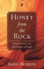 Honey from the Rock - Deuteronomy for the People of God (Paperback) - James Robson Photo