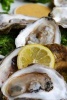 Oysters on the Half Shell Journal - 150 Page Lined Notebook/Diary (Paperback) - Cool Image Photo