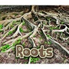 All About Roots (Paperback) - Claire Throp Photo