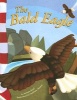 The Bald Eagle (Paperback) - Norman Pearl Photo