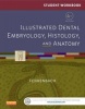 Student Workbook for Illustrated Dental Embryology, Histology and Anatomy (Paperback, 4th Revised edition) - Margaret J Fehrenbach Photo