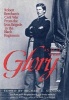 As If it Were Glory - Robert Beecham's Civil War from the Iron Brigade to the Black Regiments (Hardcover) - R K Beecham Photo