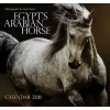 Egypt's Arabian Horse - Wall Calendar 2011 (Calendar, 2011) - Nasr Marei Photo