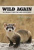 Wild Again - The Struggle to Save the Black-Footed Ferret (Hardcover) - David S Jachowski Photo