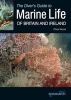 The Diver's Guide to Marine Life of Britain and Ireland (Paperback, 2nd Revised edition) - Chris Wood Photo