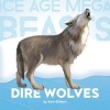 Dire Wolves (Hardcover) - Sara Gilbert Photo