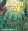 Living Leaf - The Story of How Plants Grow and Survive (Hardcover) - Judith Heneghan Photo